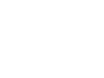 Bullet icon