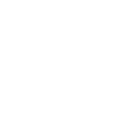 Bullet icon